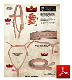 Big Horn tack brochure cover