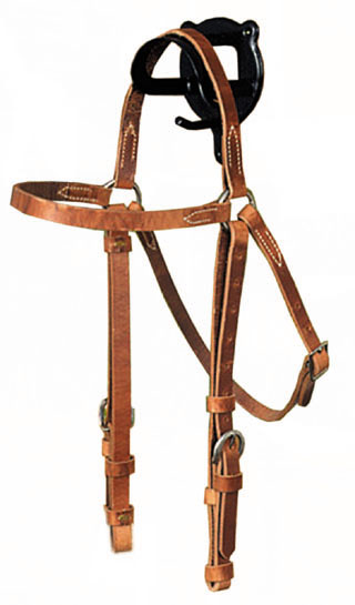 Leather browband headstall